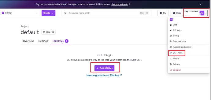 图片[2]-IPv6的玩具鸡 Scaleway欧洲1c1g无限流量月付0.43欧（最低0.15欧）-VPS SO