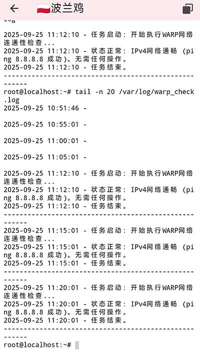 scaleway的ipv6机失联的解决办法-附上详细教程-VPS SO